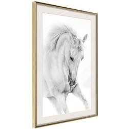 Arkiio Affisch White Horse [Poster] 20x30 Poster